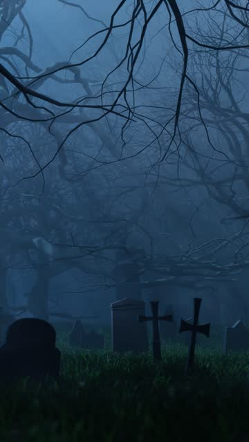 Leafless trees and graves in cemetery at night. 3d animation
