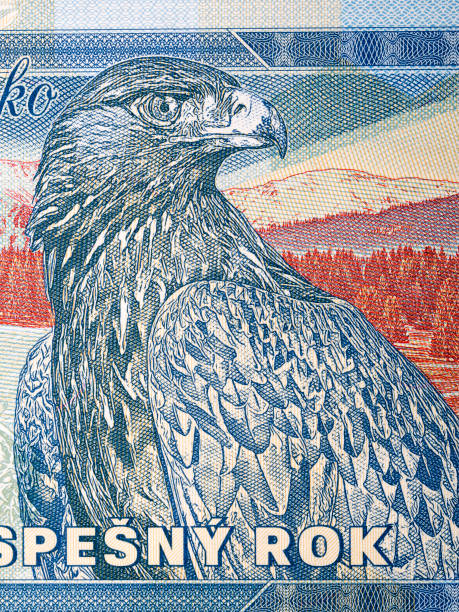 istock Eagle a portrait from Slovak money 1494232341