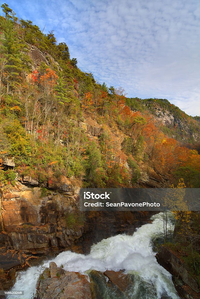 Tallulah Gorge - Royalty-free Geórgia - Sul dos Estados Unidos Foto de stock