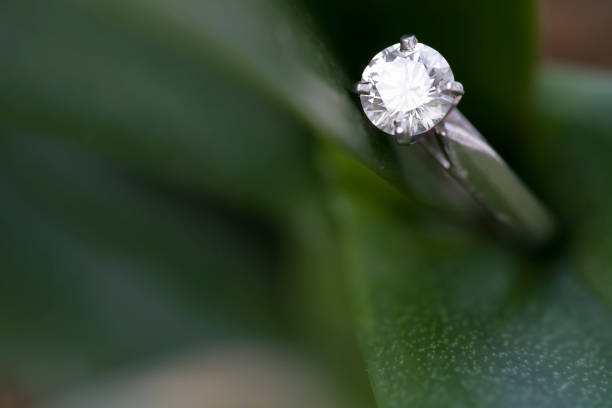 istock Engagement ring on green foliage 1494234070