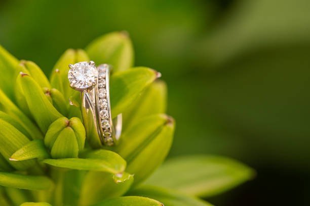 istock Wedding rings on Asiatic lily buds 1494234349