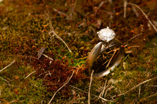 Platinum solitaire Diamond ring on yellow moss in backyard garden