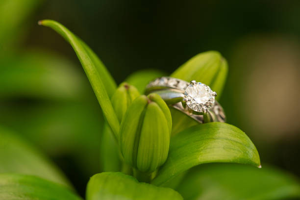 istock Wedding rings on Asiatic lily buds 1494234644