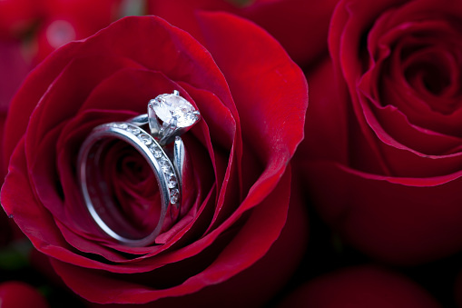 Solitaire Diamond engagement ring set inside red roses bouquet