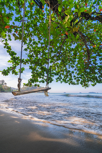 Swing hanging from Tree over beach, Koh Chang, Trat, Thailand