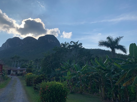 Quiet evening view of the mogote mountains of Vinales in Pinar del Rio