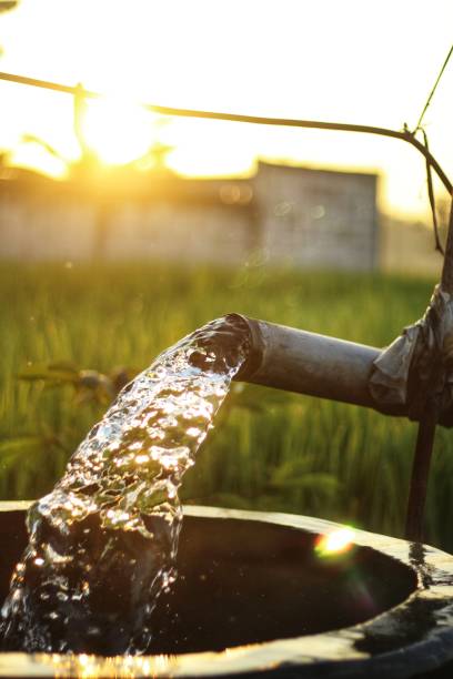 istock water source in the middle of the rice fields 1494247765