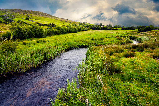 Stream between the green grass in Cong.