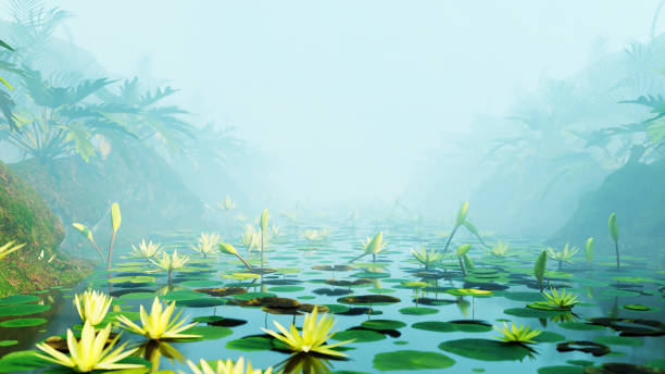 Water Lotus On Lake