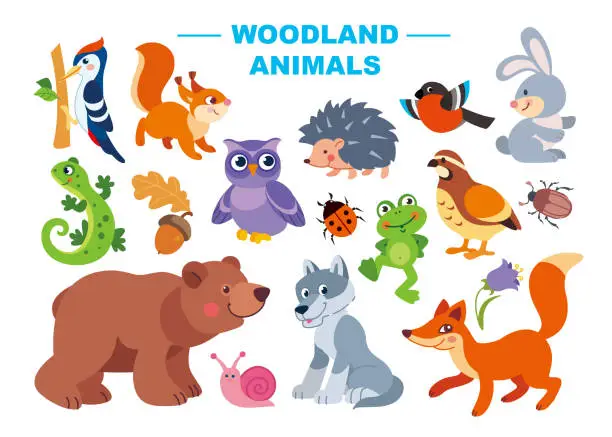 Vector illustration of Set of cute woodland forest animals vector illustration. Cartoon animalistic characters in flat style: squirrel,  bear, wolf, fox, hare, owl, woodpecker, lizard, frog, hedgehog hedgehog, grouse.