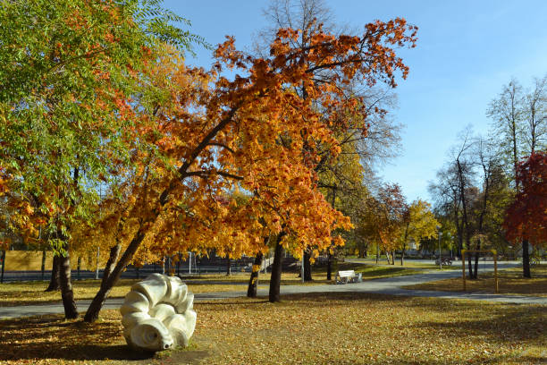 Chelyabinsk Russia - October 7, 2022. Scarlet Field Park. Sculpture and tilted tree in an autumn park