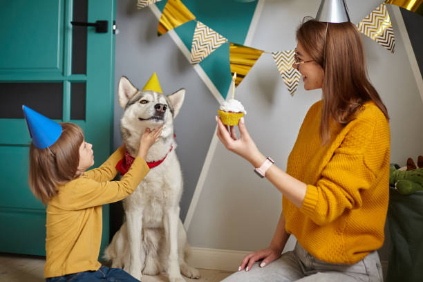 fiesta de cumpleaños de mascota de perro, feliz familia madre e hijo felicitando a la mascota con cupcake de cumpleaños, niño abrazando a un perro - perro primer cumpleaños fotografías e imágenes de stock