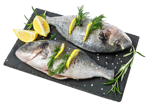 Fresh fish dorado and ingredients for cooking. Raw gutted fish sea bream with spices and herbs on black slate isolated on white background