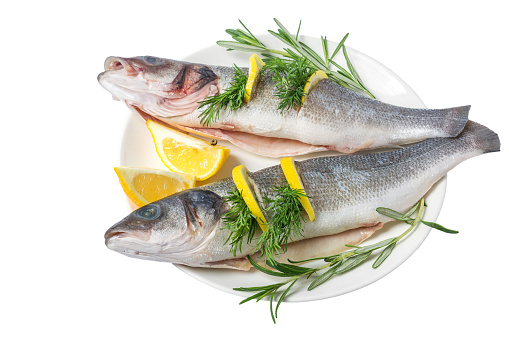 Fresh gutted fish seabass and ingredients for cooking, lemon, pepper and rosemary in a plate isolated on white background