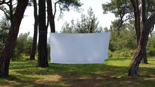 A white sheet hangs on a rope between the trees. Background for trendy titles. The concept of tranquility, Background for titles independent cinema.