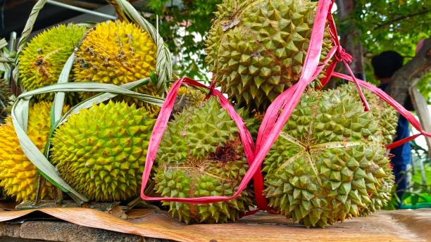 istock Durian tropical fruits 1494253072