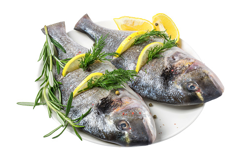 Fresh gutted fish dorado and ingredients for cooking, lemon, pepper and rosemary in a plate isolated on white background
