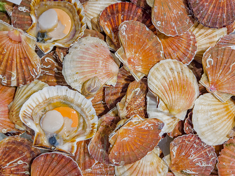 The Venice Rialto Market: Large canal front covered area with stalls trading with fresh fish, seafood, vegetables and fruits. Food background with copy space. Coquille Saint Jacques is a marine bivalve mollusk of the family Pectinidae.