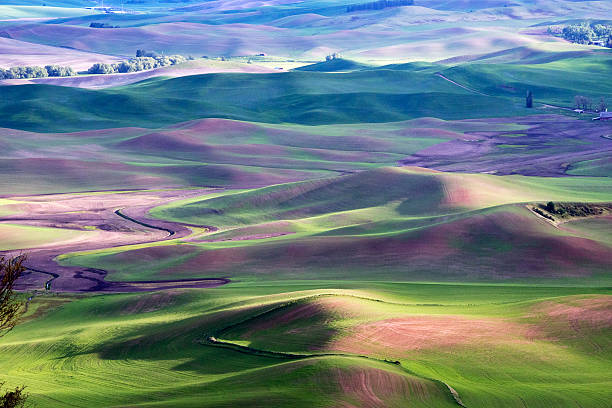istock Palouse farm land 149425703