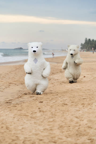 istock Animators dressed as polar bears entertain people on the beach 1494257499