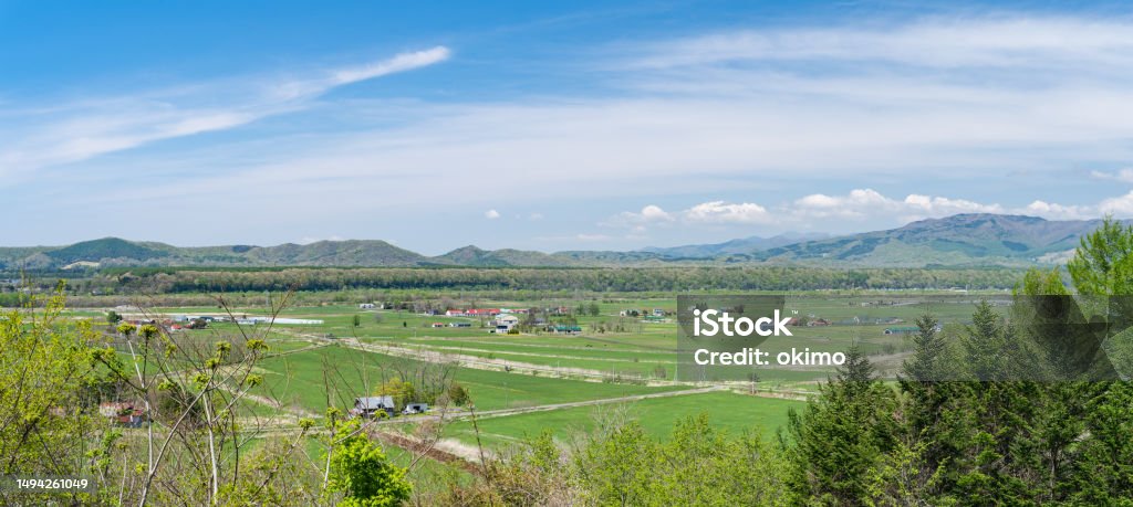 Ranch view in Hokkaido, Japan Agriculture Stock Photo