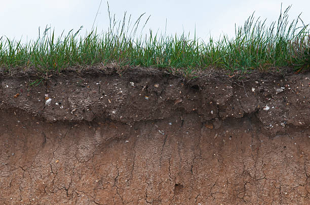 istock soil coastal erosion along shore and beach 149426256