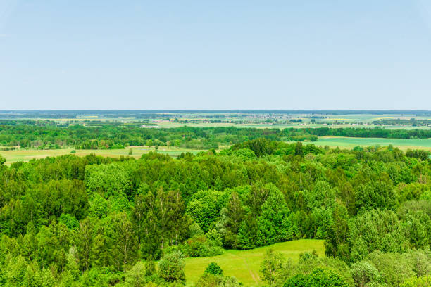 istock Summer rural lanscape with trees,forest summer clear sky. warm beautiful summer day. Summer background. 1494264864