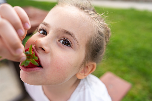 Caucasian girl, feeding her toddler sister with strawberry, at the public park