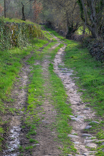 Undulating dirt road for vehicles with two-wheel markings on grass in a rural area