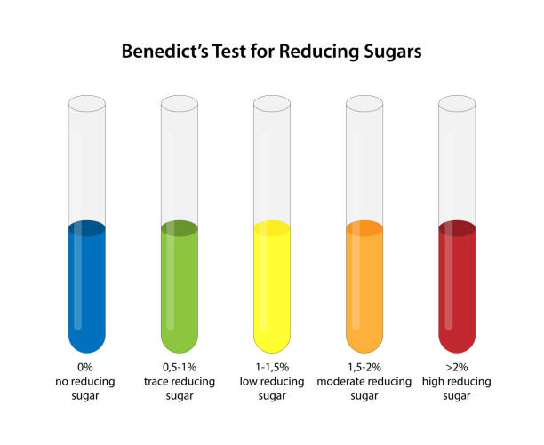 test benedykta na redukcję cukrów. - test tube glass reagent red stock illustrations