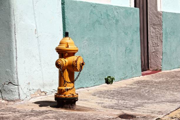 istock a fire hydrant sits in front of an old building 1494270080