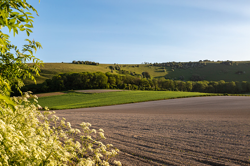 Ploughed farmland in Sussex on a sunny spring evening