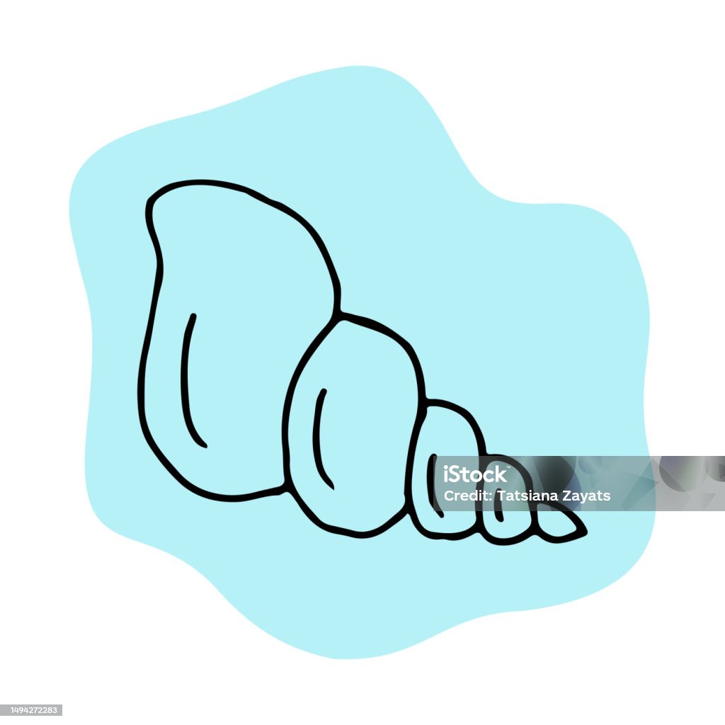 Sea Shell Drawable Sea Shell Doodle Line Hand Drawn Vector Illustration Stock Illustration ...