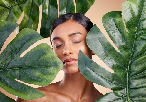 Woman, face and leaf for natural skincare cosmetics, self love and care against studio background. Calm and relaxed female beauty holding leafy green organic plant in sustainable eco facial treatment