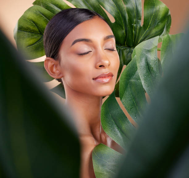 Woman, face and leaf in natural skincare cosmetics, self love or aloe vera against studio background. Calm female beauty holding leafy green organic plant for sustainable eco facial or spa treatment mujer, cara y hoja en cosmética natural para el cuidado de la piel, amor propio o aloe vera contra fondo de estudio. belleza femenina tranquila sosteniendo una planta orgánica verde frondosa para un tratamiento ecológico facial o de spa sostenible