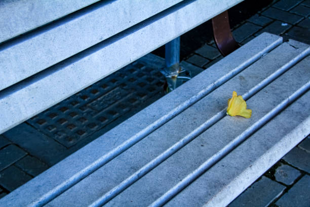 A single blue bench sits in a park.