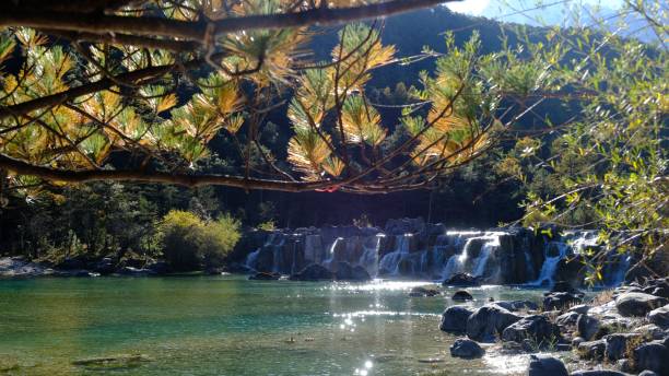 istock a small waterfall surrounded by rocks under a tree in the water 1494276198