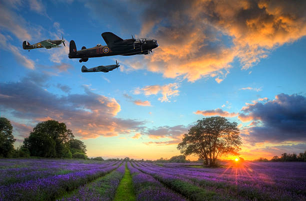 World War 2 aircraft over lavender sunset landscape stock photo