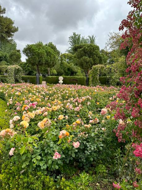 istock La Rosaleda Park in Madrid. Spring 1494282273