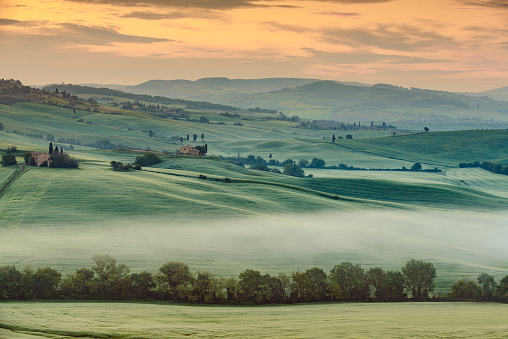 A foggy  summer morning in Val d'Orcia, Tuscany, Italy, captured rolling hills and fields in warm golden light, casting shadows and highlights.  This photo exudes the tranquil beauty of Tuscany.