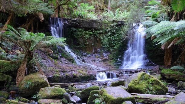 istock a waterfall in the middle of a forest surrounded by trees 1494283880