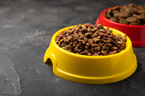 Dry dog food in a bowl and overspill.