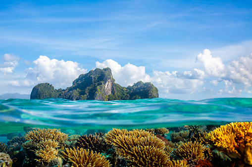 Ko Rok, Andaman sea, Krabi province, Thailand - October 10 2019:  Three male scuba divers are cutting discarded fishing net from an underwater coral reef.  They are environmentalist scuba divers volunteering on an underwater coral reef pollution clean up.  Discarded fishing net pollution is also known as ‘Ghost Net’ or ‘Ghost Gear’ and responsible for the deaths of vast amounts of marine life each year through entanglement and consumption.