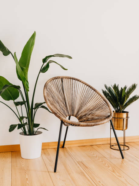 istock A wicker chair against white wall with large potted plants. 1494287135