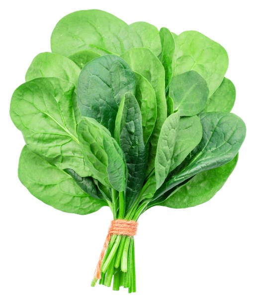 istock Spinach leaves isolated on white background. 1494289060