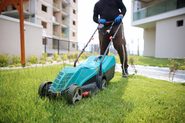 istock Garden and Landscaping Worker Mowing Backyard Lawn 1494289965