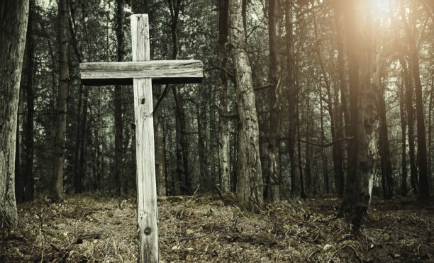 istock Cross in forest . Easter background concept and The crosses sign. 1494290011