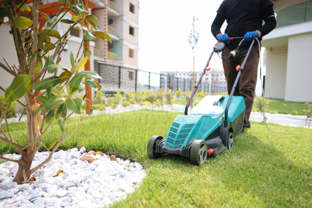 istock Garden and Landscaping Worker Mowing Backyard Lawn 1494290022