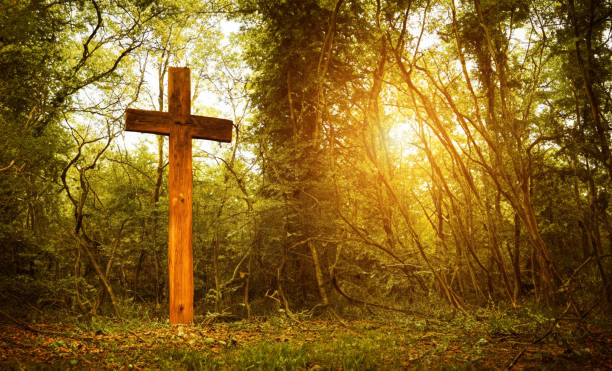 istock Cross in forest . Easter background concept and The crosses sign. 1494290524