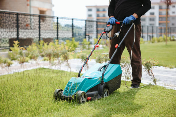 istock Garden and Landscaping Worker Mowing Backyard Lawn 1494290556